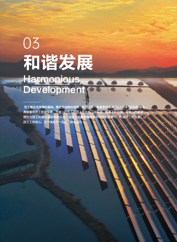 Z6��������ʱ���й����ٷ���վ