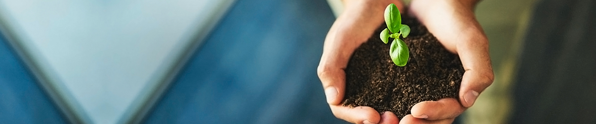 Z6��������ʱ���й����ٷ���վ