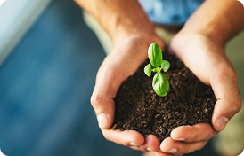 Z6��������ʱ���й����ٷ���վ